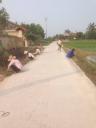 anh lao dong 1_n.jpg - 